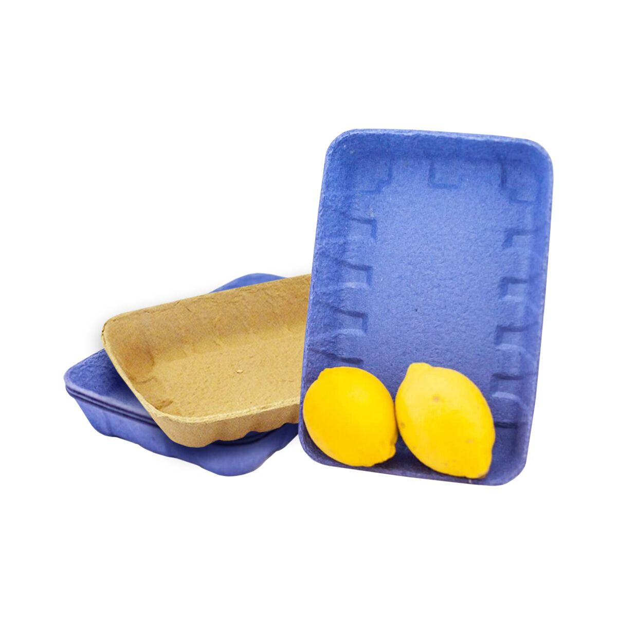 Лотки из пульперкартона - купить оптом от производителя | Лидер-Пак