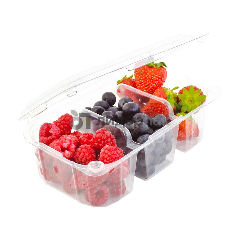 Замороженные ягоды и овощи. Контейнер для ягод. Емкости для заморозки ягод, овощей. Замороженные ягоды. Пайва для ягод пластиковая.