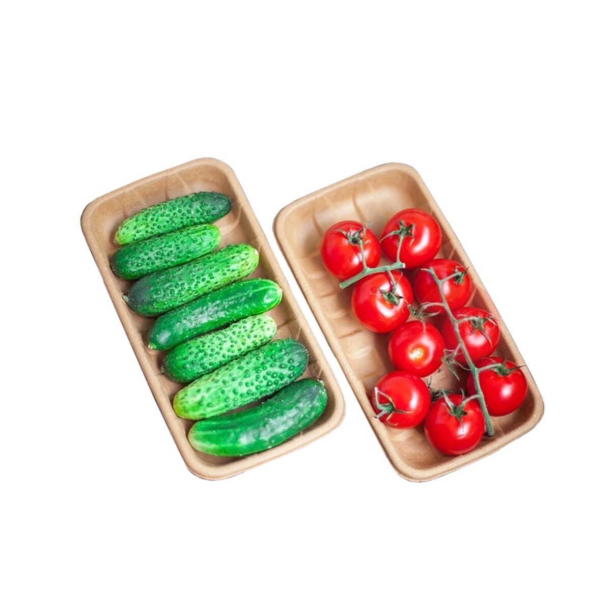 Лотки из пульперкартона - купить оптом от производителя | Лидер-Пак