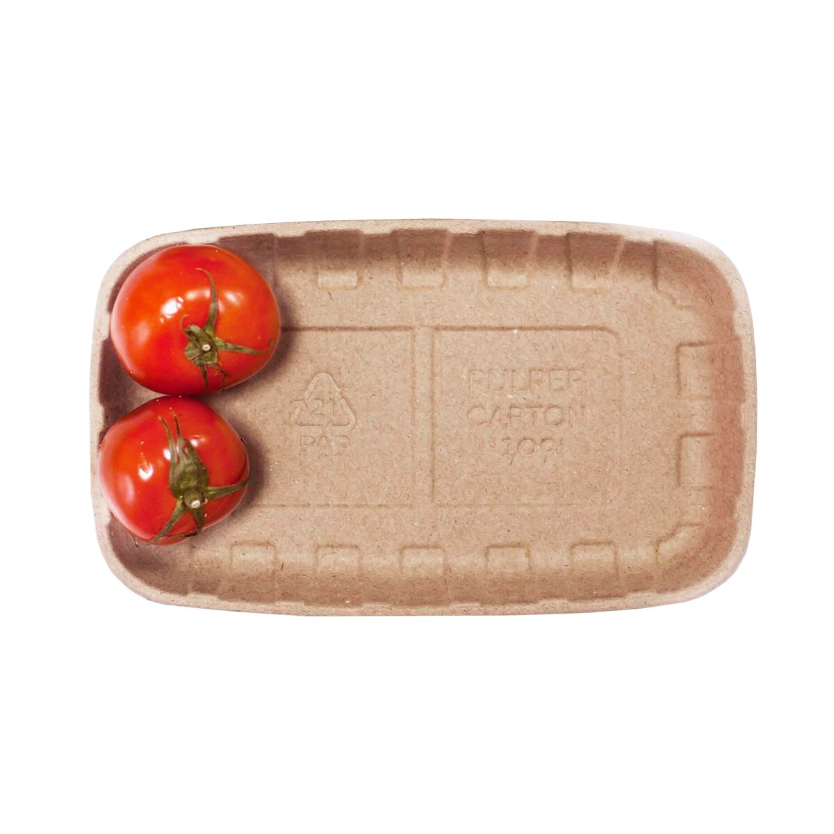 Лотки из пульперкартона - купить оптом от производителя | Лидер-Пак