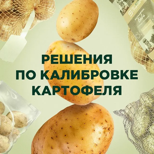 Решение по калибровке товарного и семенного картофеля