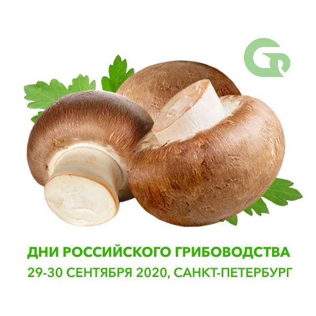 Дни Российского Грибоводства 29-30 сентября 2020 года в Санкт-Петербурге Дни Российского Грибоводства 29-30 сентября 2020 года в Санкт-Петербурге