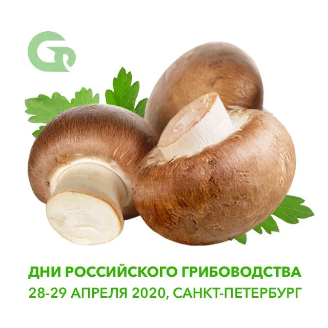 Дни Российского Грибоводства Дни Российского Грибоводства