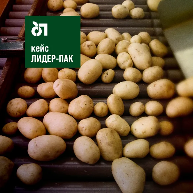 Ульяновский производитель картофеля увеличил прибыль в 4 раза! Ульяновский производитель картофеля увеличил прибыль в 4 раза!