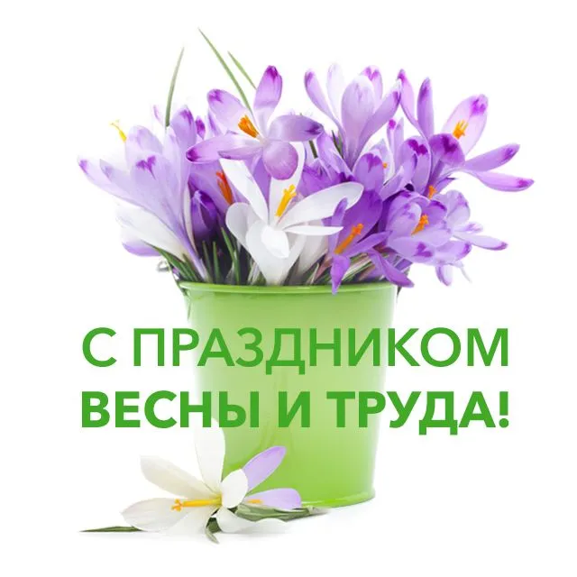 С первым днём мая! С первым днём мая!