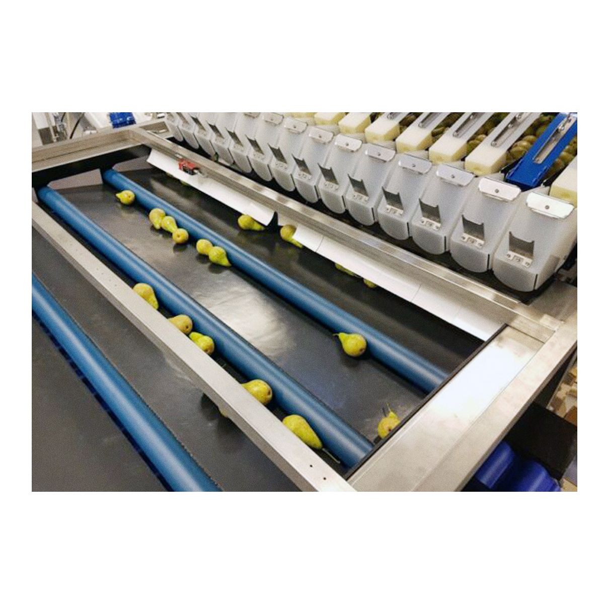 Весовые дозаторы NEWTEC Весовые дозаторы NEWTEC