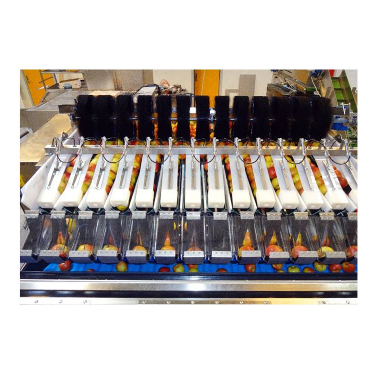 Весовые дозаторы NEWTEC