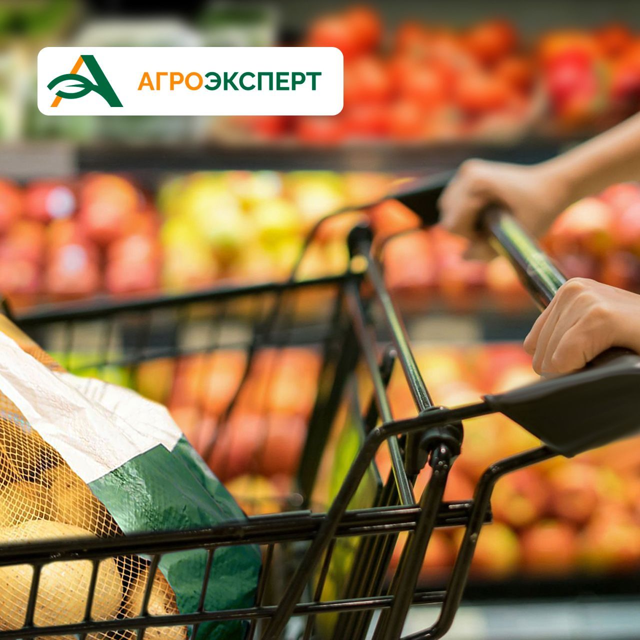 Тренды рынка упаковки: экспертный взгляд «Лидер-Пак» Тренды рынка упаковки: экспертный взгляд «Лидер-Пак»