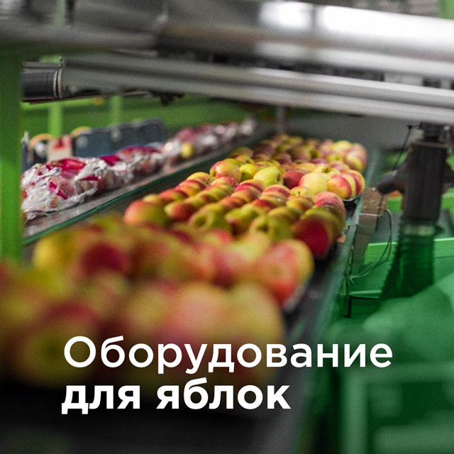 Оптимизируйте процесс упаковки яблок!