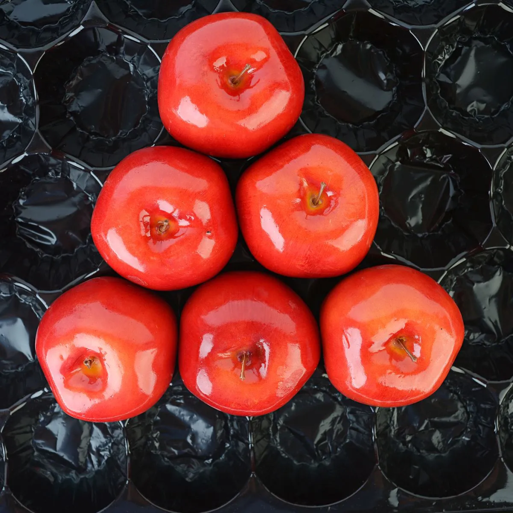 Альвеолы для перевозки томатов, яблок и груш