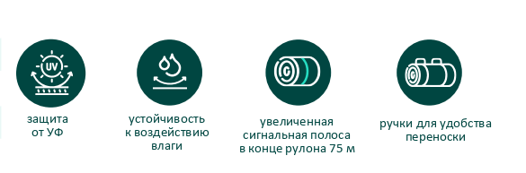 13.png